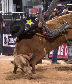 PBR s Last Cowboy Standing