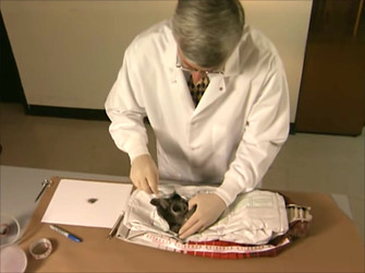 MUM AND HER TWO DAUGHTERS MURDERED BY ANGRY NEPHEW