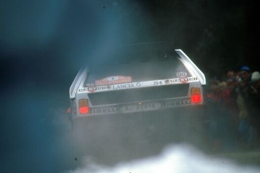 Miki Biasion Story Miki Biasion Story