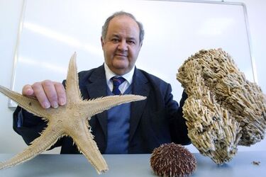 Universit&agrave; di BoDogna Dipartimento Biologia marina di Fano