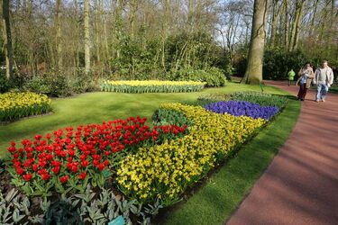 Keukenhof Olanda