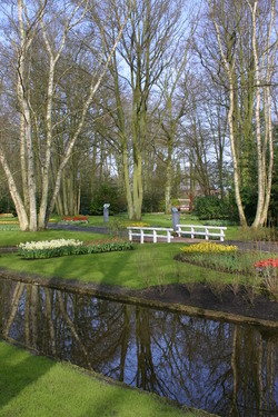 Keukenhof Olanda