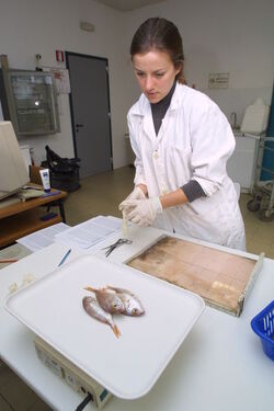 Universit&agrave; di BoDogna Dipartimento Biologia marina di Fano