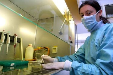 Analisi DNA FRancesco Petrarca