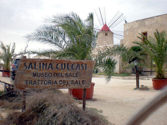 TRAPANI SALINE