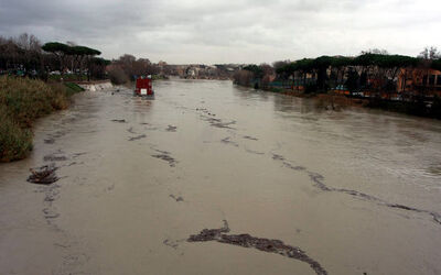 TEVERE IN PIENA