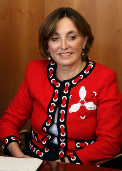 NUOVO DIRETTORE GENERALE RAI