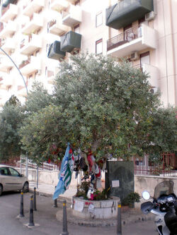 ALBERO IN RICORDO DI PAOLO BORSELLINO