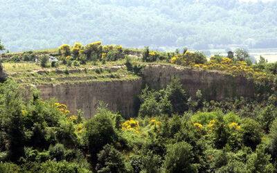 MANIFESTAZIONE CONTRO APERTURA DISCARICA A RIANO MANIFESTAZIONE CONTRO APERTURA DISCARICA A RIANO