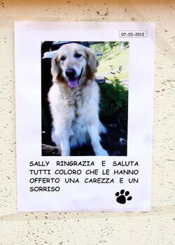 MANIFESTO FUNERARIO PER MORTE DI UN CANE