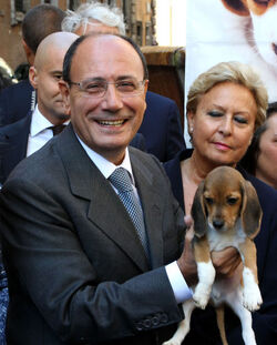 AFFIDO CUCCIOLI BEAGLE AFFIDO CUCCIOLI BEAGLE