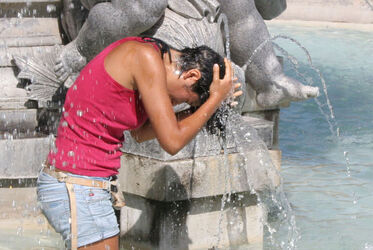 CALDO A STOCCARDA CALDO A STOCCARDA