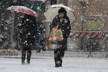 FITTA NEVICATA A ROMA