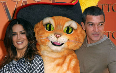 IL GATTO CON GLI STIVALI