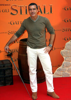 IL GATTO CON GLI STIVALI