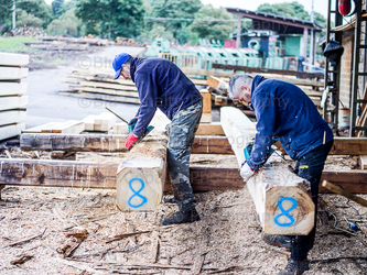 Piangoli Viterbo Piangoli Viterbo