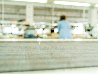 Scuderi Viterbo Scuderi Viterbo