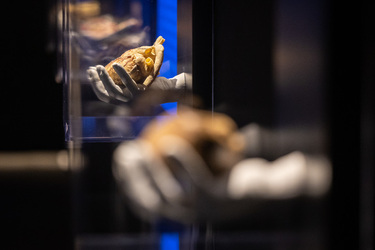 Lugano Real Bodies alla scoperta del corpo umano