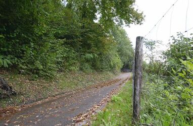 Vernate terreno boschivo