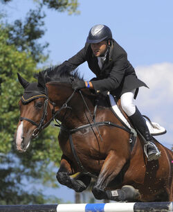 Ippica Clint Sulmoni