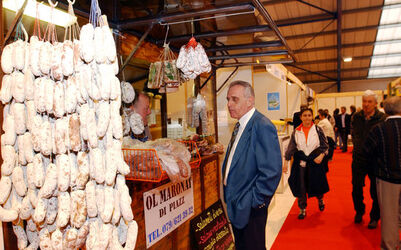 Biasca Expo TreValli inaugurazione esposizione