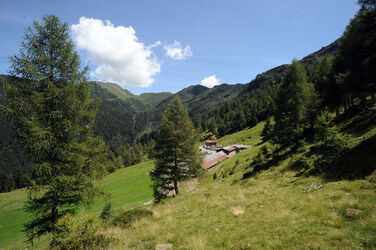 Valle Morobbia veduta Alpe Giumello