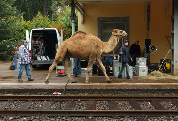Faido set pubblicitario treni non fumatori