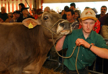 Mendrisio Miss Mendrisio 2005