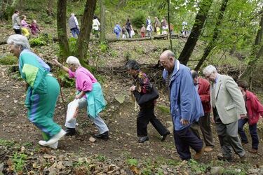 Bissone sentiero panoramico Bissone sentiero panoramico
