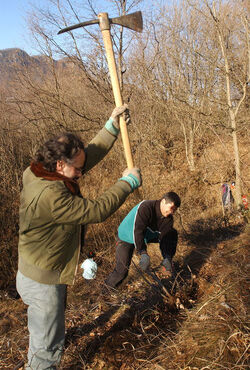 Meride ecopulizia volontariato WWF