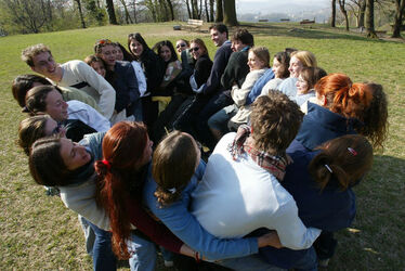Arzo stage Cemea