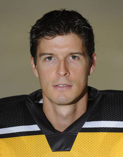 Hockey David Aebischer