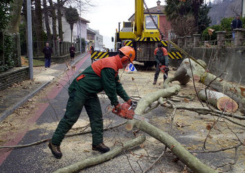 Gudo taglio alberi Villa Resinelli