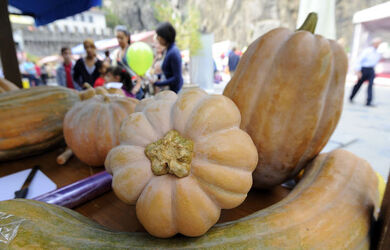 Bellinzona Bellinzona citt&agrave; del gusto 2011 cerimonia ufficiale di chiusura della Settimana del Gusto