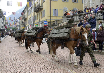 Bellinzona sfilata equestre TIcavallo