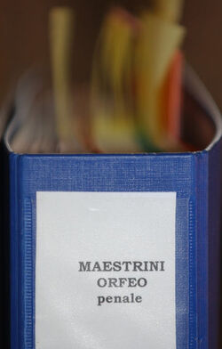 Castagnola processo a Orfeo Maestrini