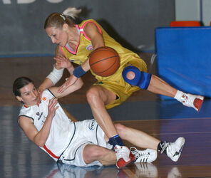 Basket PF Bellinzona Opfikon Basket Basket PF Bellinzona Opfikon Basket