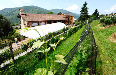 Ticino Cantine Aperte Ticino Cantine Aperte