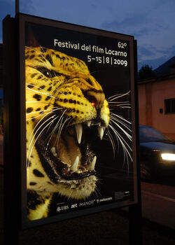 Locarno manifesti pardo