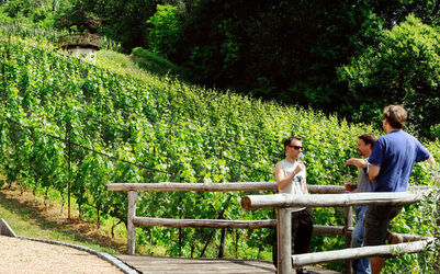 Ticino Cantine Aperte Ticino Cantine Aperte