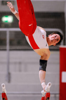 Ginnastica artistica Niki B&ouml;schenstein