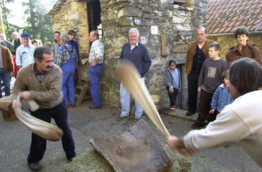 Cabbio battuta delle castagne Cabbio battuta delle castagne