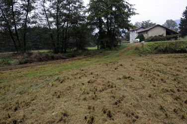 Genestrerio zona mulini Genestrerio zona mulini