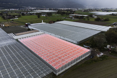 SANT ANTONINO presentazione Orticola Bassi per la produzione di pomodori svizzeri in inverno con tecnologie all avanguardia