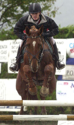 Ippica concorso elite qualifiche ai campionati svizzeri