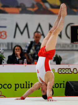 Ginnastica artistica Niki B&ouml;schenstein