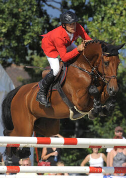 Ippica Pius Schwizer