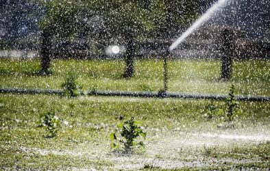 Ticino coltivazioni sul Piano di Magadino bel temppo emergenza siccit&agrave;