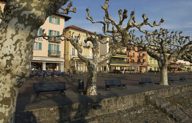 Ascona lungolago e vedute