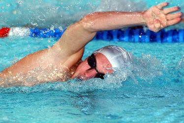 Nuoto meeting internazionale del Ceresio